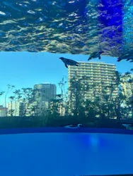 サンシャイン水族館に投稿された画像(2026/5/30)