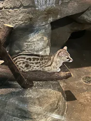 名古屋市東山動植物園に投稿された画像(2026/5/31)