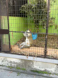 名古屋市東山動植物園に投稿された画像(2026/5/31)