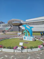 名古屋港水族館に投稿された画像(2026/5/31)
