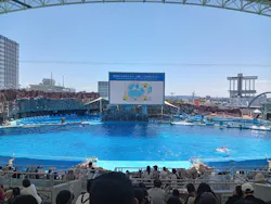 名古屋港水族館に投稿された画像(2026/5/31)