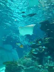 名古屋港水族館に投稿された画像(2026/5/31)