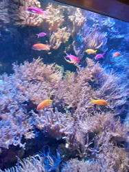 名古屋港水族館に投稿された画像(2026/5/31)