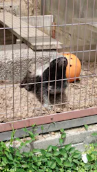 名古屋市東山動植物園に投稿された画像(2026/5/31)
