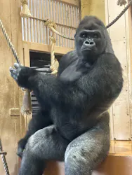 名古屋市東山動植物園に投稿された画像(2026/5/31)