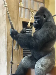 名古屋市東山動植物園に投稿された画像(2026/5/31)