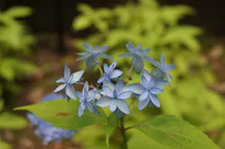 名古屋市東山動植物園に投稿された画像(2026/5/31)