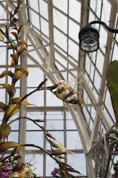 名古屋市東山動植物園に投稿された画像(2026/5/31)