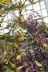 名古屋市東山動植物園に投稿された画像(2026/5/31)