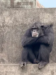 伊豆シャボテン動物公園に投稿された画像(2026/6/1)
