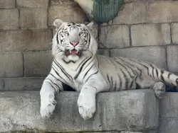 東武動物公園に投稿された画像(2026/6/1)