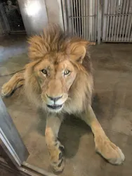 天王寺動物園に投稿された画像(2026/6/2)