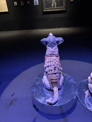 はしもとみお木彫展 いきものたちとの旅(氷見市芸術文化館)に投稿された画像(2026/6/2)