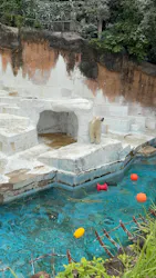 天王寺動物園に投稿された画像(2026/6/2)
