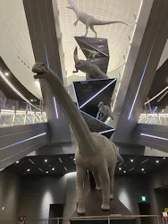福井県立恐竜博物館に投稿された画像(2026/6/3)