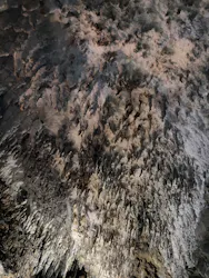 CAVE OKINAWAに投稿された画像(2026/6/3)