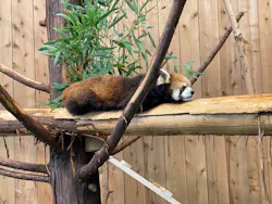 伊豆シャボテン動物公園に投稿された画像(2026/6/4)
