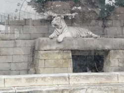 東武動物公園に投稿された画像(2026/6/4)