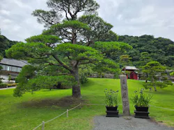 仙巌園に投稿された画像(2026/6/5)
