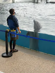 京都水族館に投稿された画像(2026/6/6)