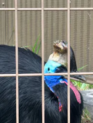 東武動物公園に投稿された画像(2026/6/7)
