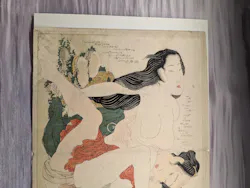 北斎・英泉 艶くらべー歌舞伎町花盛りー新宿歌舞伎町春画展WA 第2回に投稿された画像(2026/6/7)