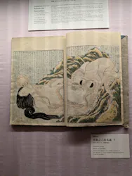 北斎・英泉 艶くらべー歌舞伎町花盛りー新宿歌舞伎町春画展WA 第2回に投稿された画像(2026/6/7)
