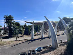 伊豆ぐらんぱる公園に投稿された画像(2026/6/7)