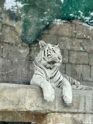 東武動物公園に投稿された画像(2026/6/7)
