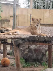 東武動物公園に投稿された画像(2026/6/7)