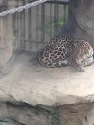 東武動物公園に投稿された画像(2026/6/7)