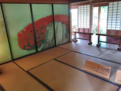 偕楽園本園に投稿された画像(2026/6/8)