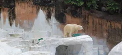天王寺動物園に投稿された画像(2026/6/10)