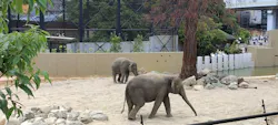 天王寺動物園に投稿された画像(2026/6/10)