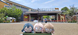 天王寺動物園に投稿された画像(2026/6/10)