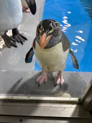 越前松島水族館に投稿された画像(2026/6/11)