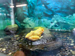 越前松島水族館に投稿された画像(2026/6/11)