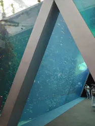 環境水族館アクアマリンふくしまに投稿された画像(2026/6/11)