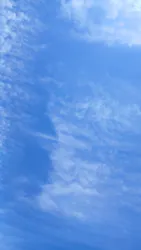 びわ湖バレイに投稿された画像(2026/6/11)