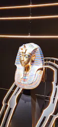 MYSTERY OF TUTANKHAMEN 体感型古代エジプト展に投稿された画像(2026/6/12)
