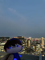 梅田スカイビル・空中庭園展望台に投稿された画像(2026/6/12)