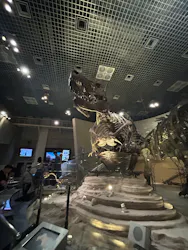 国立科学博物館に投稿された画像(2026/6/12)