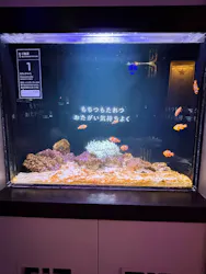 横浜開運水族館 フォーチュンアクアリウムに投稿された画像(2026/6/12)