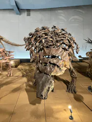 福井県立恐竜博物館に投稿された画像(2026/6/13)