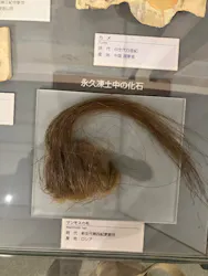 福井県立恐竜博物館に投稿された画像(2026/6/13)