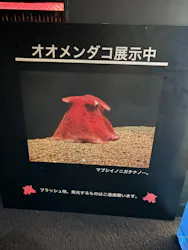 環境水族館アクアマリンふくしまに投稿された画像(2026/6/13)