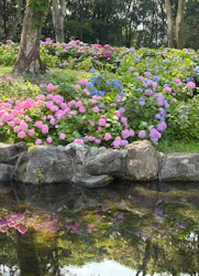 万博記念公園に投稿された画像(2026/6/13)