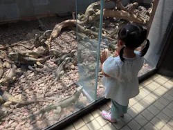 体感型動物園iZooに投稿された画像(2026/6/13)