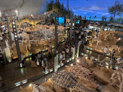 福井県立恐竜博物館に投稿された画像(2026/6/13)