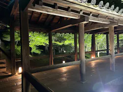 VIE presents ZEN NIGHTに投稿された画像(2026/6/14)